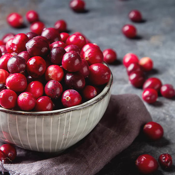 Frische Cranberrys in einer Schale